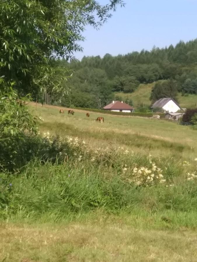 דוז'ניקי ז'דרוז' Altana Caloroczna Vira Numer 7 Herbergerowka Agroturystyka Na Wsi מראה חיצוני תמונה