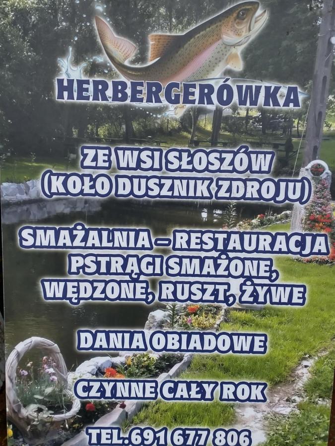 דוז'ניקי ז'דרוז' Altana Caloroczna Vira Numer 7 Herbergerowka Agroturystyka Na Wsi מראה חיצוני תמונה